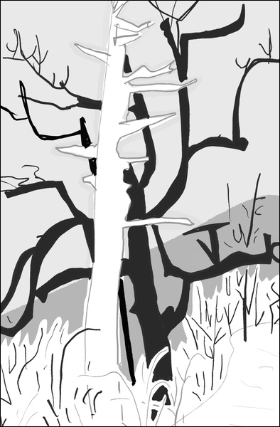 장병언, Digital Drawing, digital_work, 2026